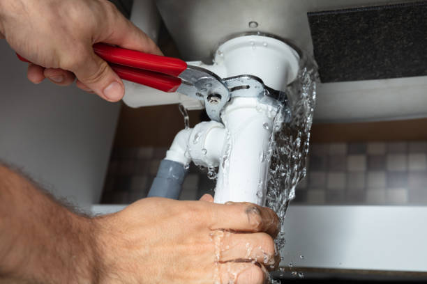 Best Water damage restoration mold remediation  in Boone, NC