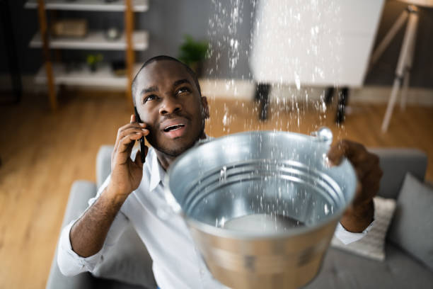 Best Carpet water damage restoration  in Boone, NC