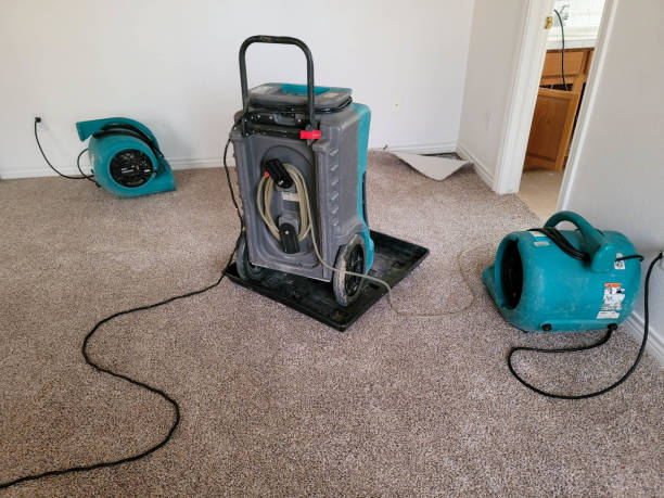 Best Water damage restoration cost  in Boone, NC