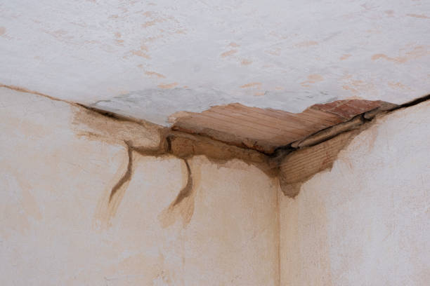 Best Mold removal after water damage  in Boone, NC